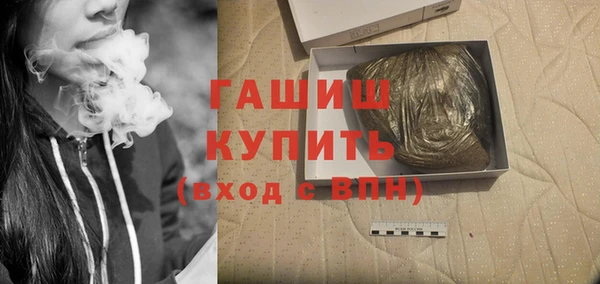 сатива Белокуриха